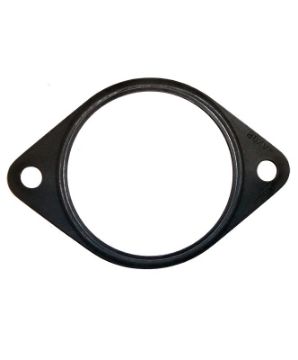 Immagine di 3008400 Hydraulic Pump Gasket