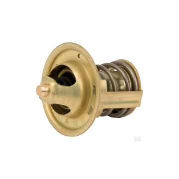 Immagine di 1E39973010 TERMOSTATO
