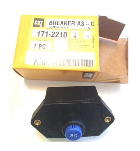 Immagine di 1712210 INTERRUTTORE BREAKER AS-C