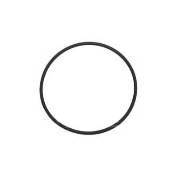 Immagine di 06.56936-2969 Anello tenuta toroid. 85X3N-FKM1-70-GN