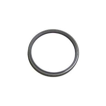 Immagine di 3N3166 TENUTA SEAL