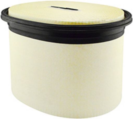 Immagine di 2525001A En. Air Filter