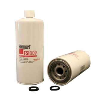 Immagine di FS1009 Filtro carburante