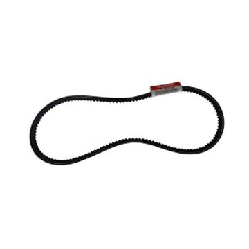 Immagine di 25157-003500 CINGHIA 11965042291