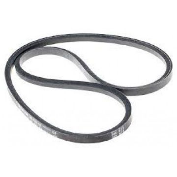 Immagine di 249989 CINGHIA PAS