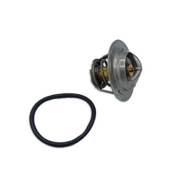 Immagine di 3587597 TERMOSTATO