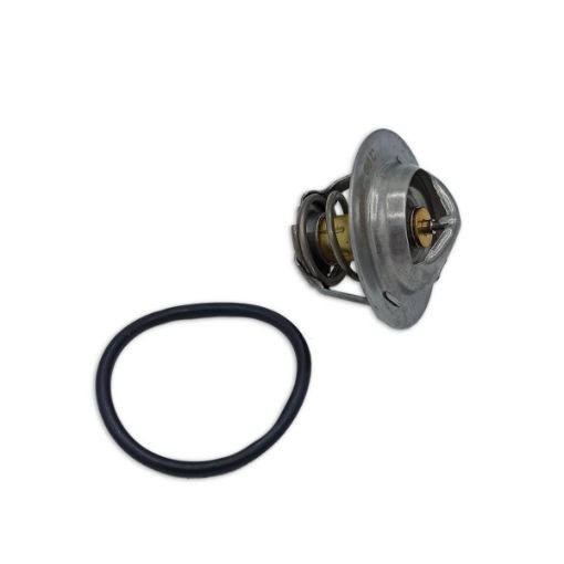 Immagine di 3587597 TERMOSTATO