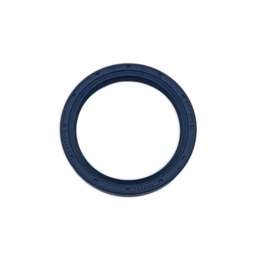 Immagine di 0634300069 Paraolio uscita ZF 220A 56x70x8