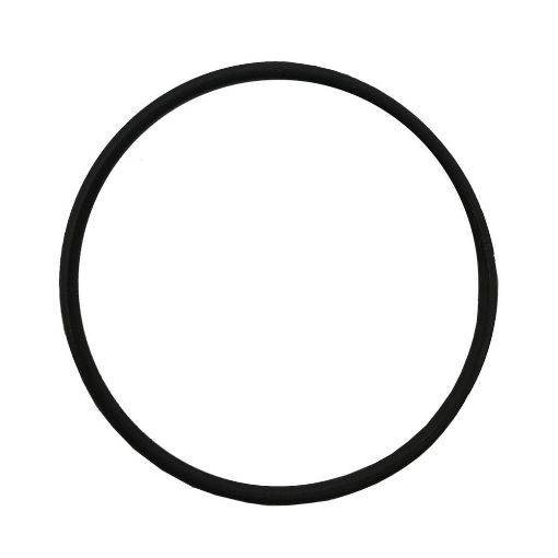 Immagine di 121850-51960A O RING 3JH/4JH