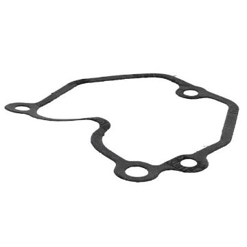 Immagine di 114210-11310 GUARNIZIONE PUNTERIE L70