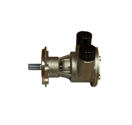Immagine di GM57562 POMPA ACQUA MARE