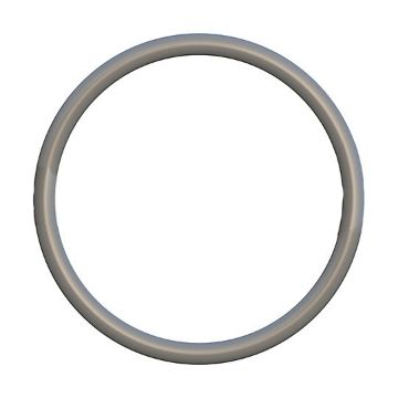 Immagine di 1090075 TENUTA SEAL O RING