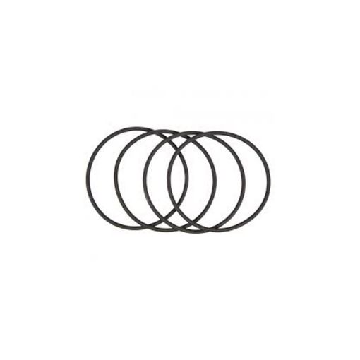 Immagine di 3581070A ORING