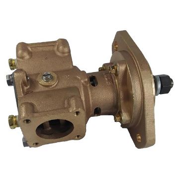 Immagine di P1735X PUMP ASSY
