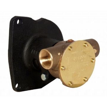 Immagine di 10950-2601 Pompa in bronzo 10950-2601