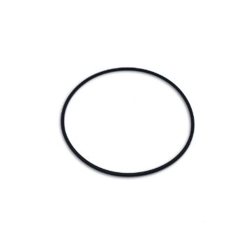 Immagine di 1504105 ANELLO RING BACKUP