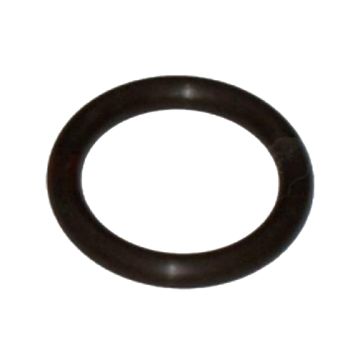 Immagine di 6V5134A Anello OR Fluorocarbon (75)  31,12x5,33