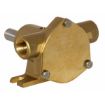 Immagine di 51510-2001 Pompa in bronzo     51510-2001