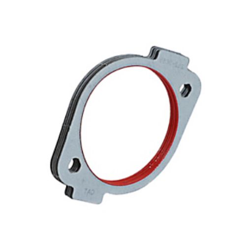 Immagine di 2529685 GUARNIZIONE GASKET