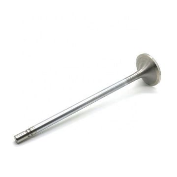 Immagine di 1220321 Valve, Exhaust