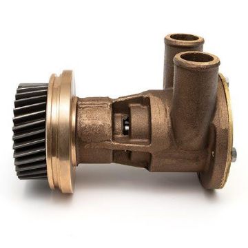 Immagine di 4255412 POMPA PUMP GP-AUX-