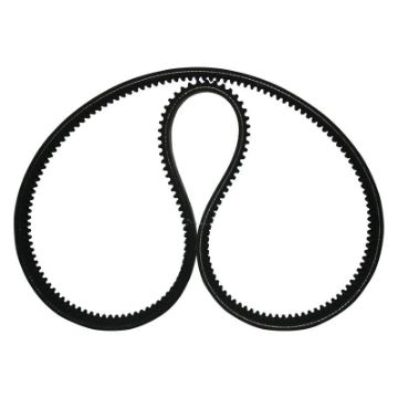 Immagine di 06.58073-2322 Set di cinghie trap.strette C-13X1275X2