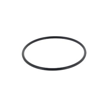 Immagine di 24311-000240 O RING
