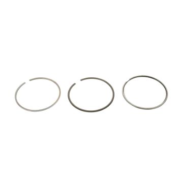 Immagine di 51.02503-0661 Anello elast./smusso e gradino 128/117,6