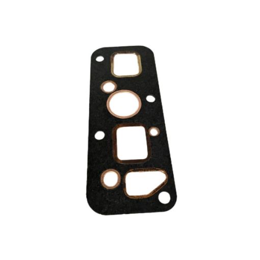 Immagine di 859194A GUARNIZIONE COLLETTORE