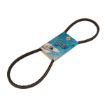 Immagine di 4P0454A V BELT
