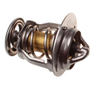 Immagine di 129155-49801A TERMOSTATO 12915549800