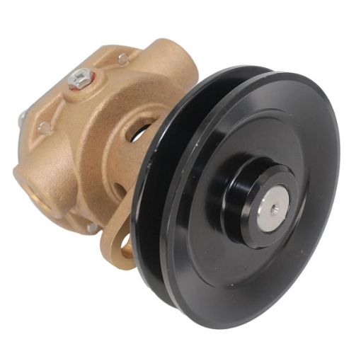 Immagine di SE7110P SMALL ENGINES PUMP