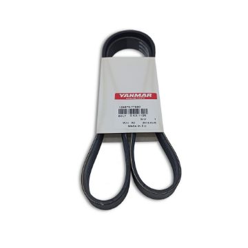 Immagine di 129673-77680 CINGHIA MULTI-GROOVE 4JH3-DTE da E35417