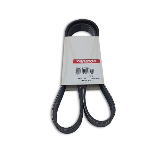 Immagine di 129673-77680 CINGHIA MULTI-GROOVE 4JH3-DTE da E35417