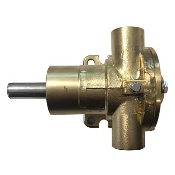 Immagine di 5972 POMPA PM 35/1