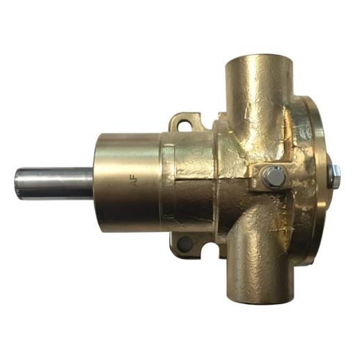 Immagine di 5972 POMPA PM 35/1