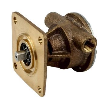 Immagine di 048080 POMPA WESTERBEKE - SEA WATER PUMP