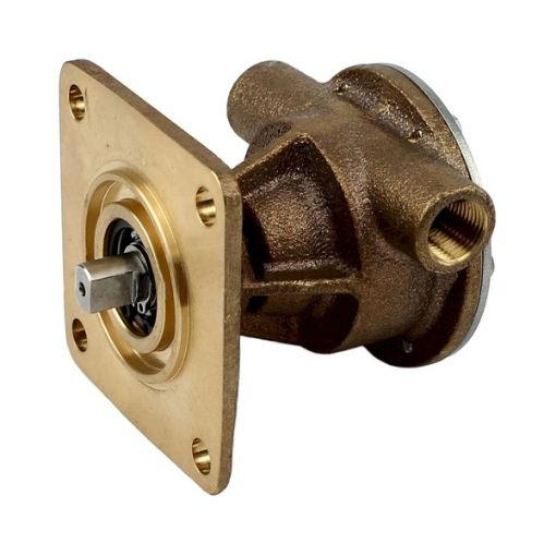 Immagine di 048080 POMPA WESTERBEKE - SEA WATER PUMP