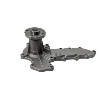 Immagine di 0132-0520 PUMP-WATER