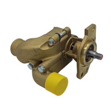 Immagine di 119773-42502 POMPA MARE 6LPDTE/STE 11977342500