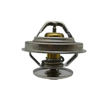 Immagine di 20460312 TERMOSTATO