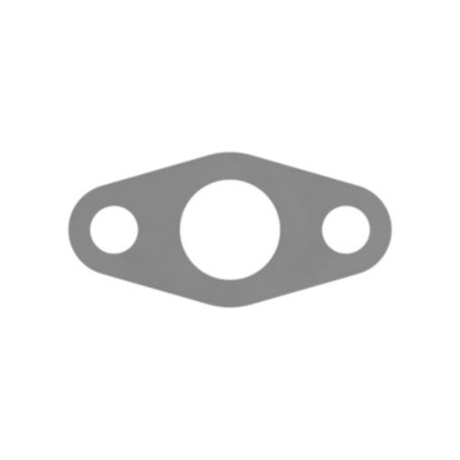 Immagine di 1886126 GUARNIZIONE GASKET