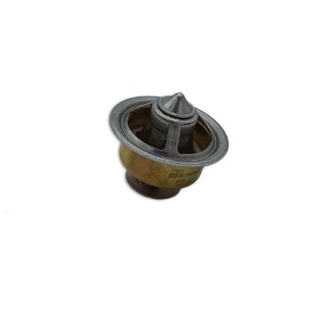 Immagine di 3917324A TERMOSTATO