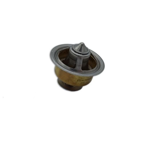 Immagine di 3917324A TERMOSTATO