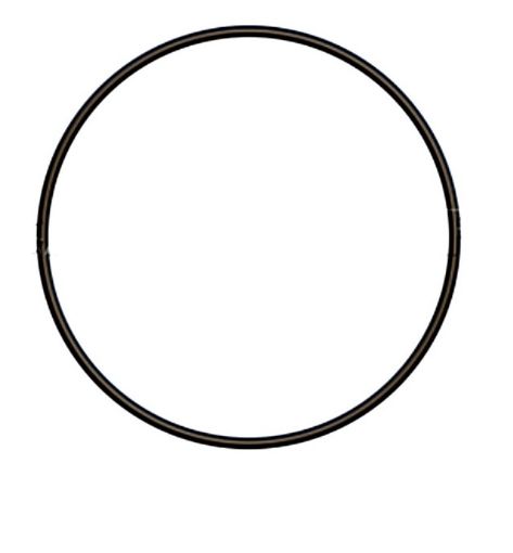 Immagine di 1484642A Anello OR Nitrile (70) 204,3x5,7