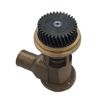 Immagine di 4255415 POMPA PUMP GP-AUX-