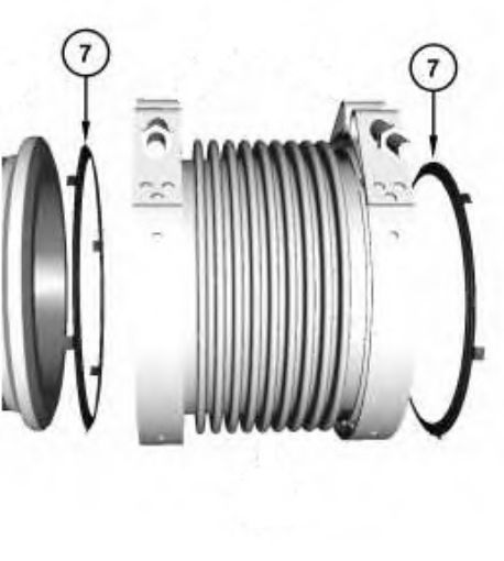 Immagine di 3752758 GUARNIZIONE GASKET-EXHAU