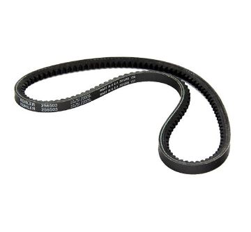 Immagine di 256503 CINGHIA PAS