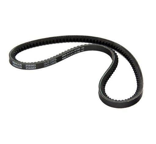 Immagine di 256503 CINGHIA PAS