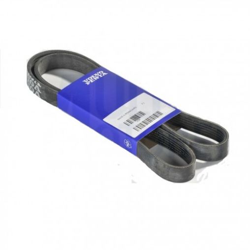 Immagine di 21951188 CINGHIA